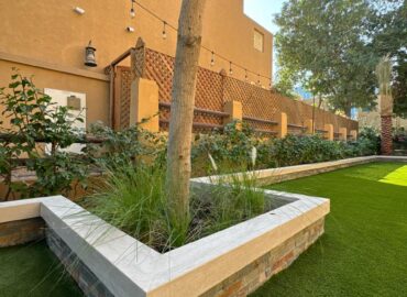 WhatsApp Image 2026-01-25 at 7.50.21 PM