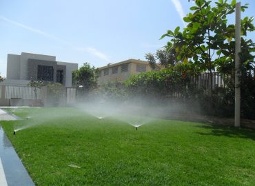 04a6e41a-eb37-4fa0-82fc-3a09b84749ea