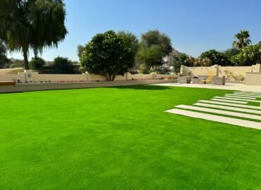 6333bc65-8da9-4d5e-a87e-c235c9fbe676-370x270