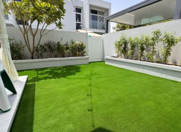 WhatsApp-Image-2025-08-07-at-11-08-04-PM