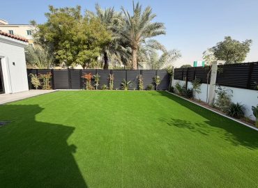 WhatsApp Image 2026-02-19 at 9.14.47 PM