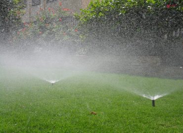 a8548dcf-4069-4e04-9279-340845eb6624