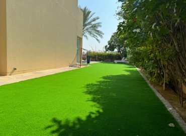 e79c15c0-5495-4bb4-a4a2-8e8219eea563-370x270